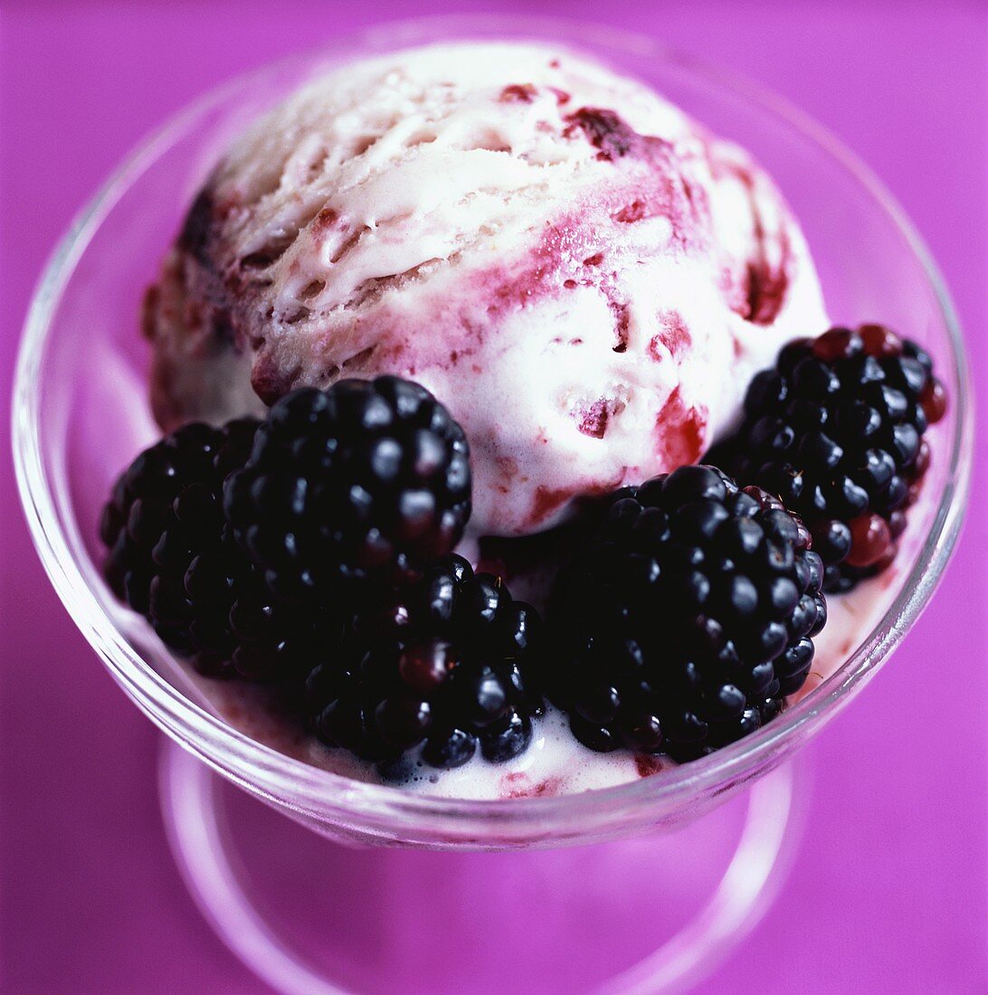 Blackberry and vanilla ice cream with fresh blackberries