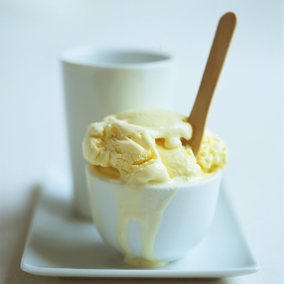Vanilla ice cream in a white bowl