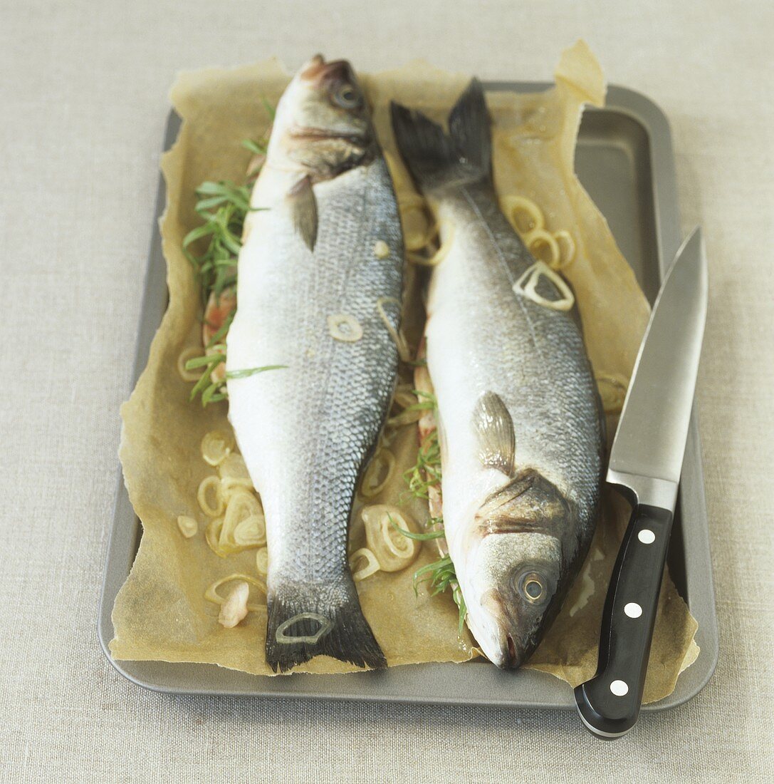 Two fresh sea bass with herb stuffing on baking tray
