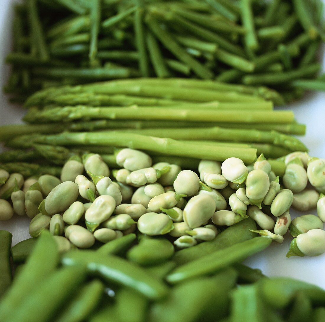 Grünes Gemüsestillleben mit Erbsen, Bohnen und Spargel