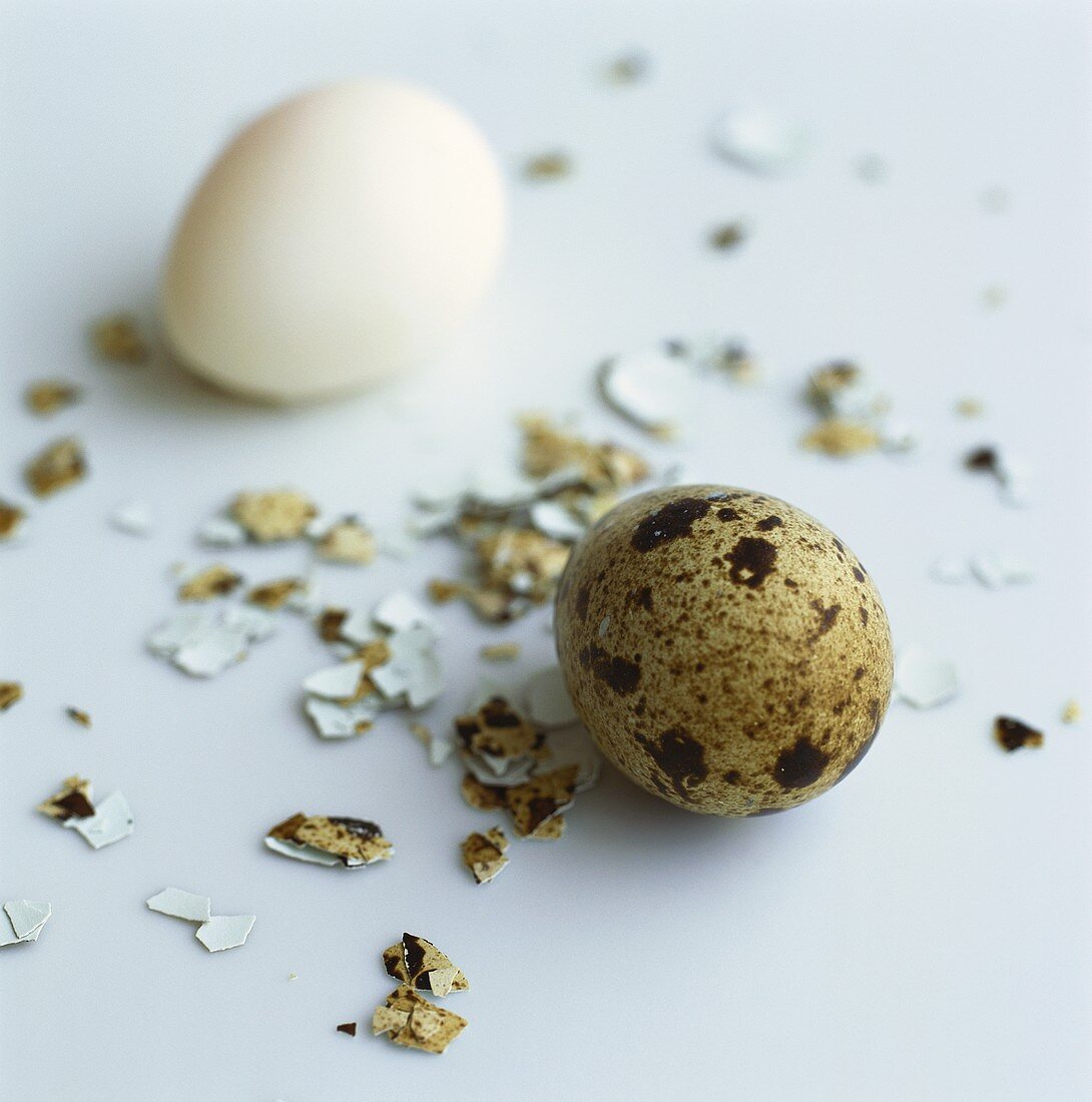 Two quail's eggs, one shelled, with eggshell