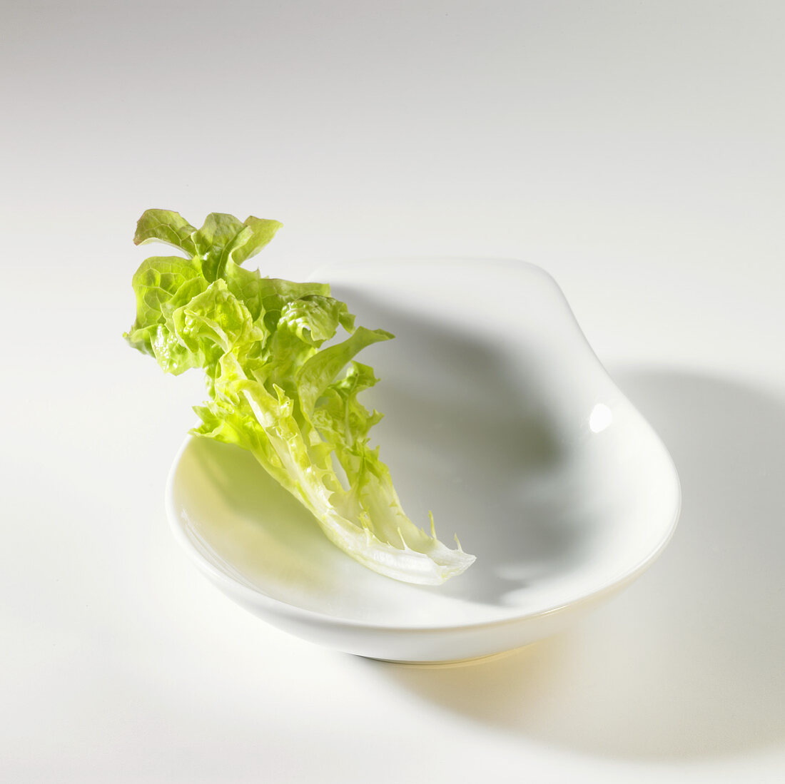 Lettuce leaf (Lollo bianco) in white dish