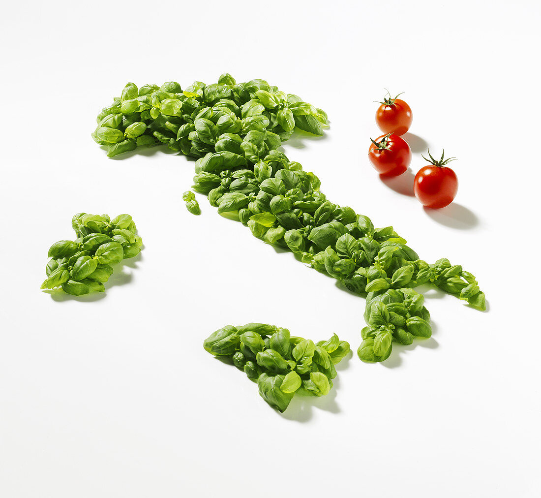 Basilikum in Form der Landkarte von Italien, drei Tomaten