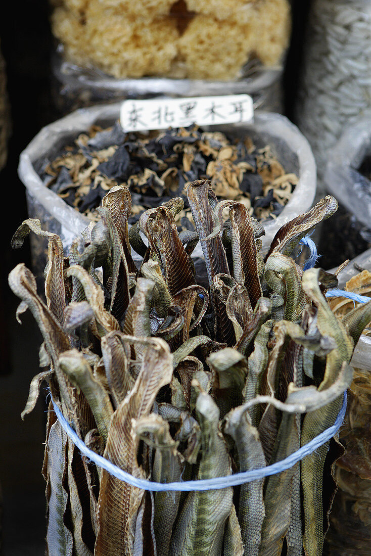 Getrocknete Schlangen auf einem Markt in Guangzhou, China