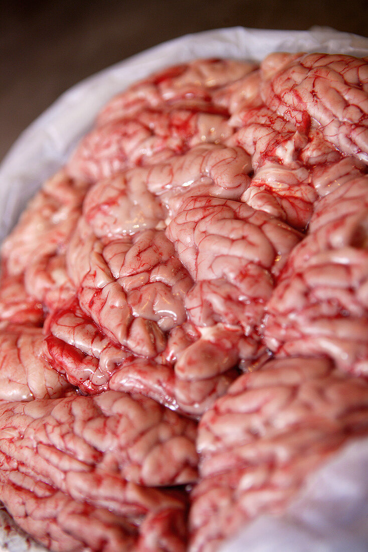 Fresh brains (Tai Po Market, Hong Kong, China)