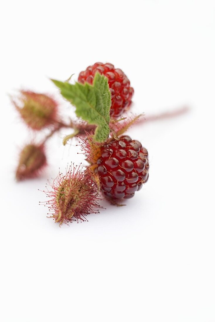 Japanese wineberries with stalk and leaf