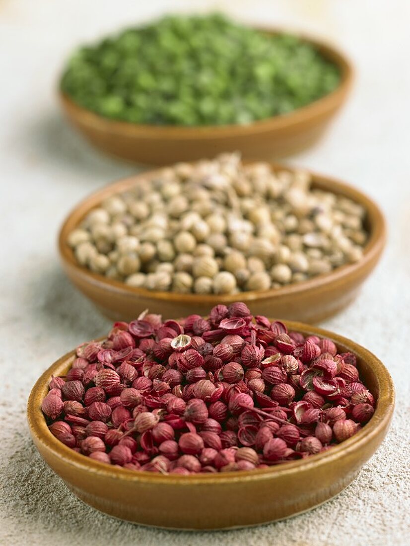 Coriander seeds (red, white, green) in dishes