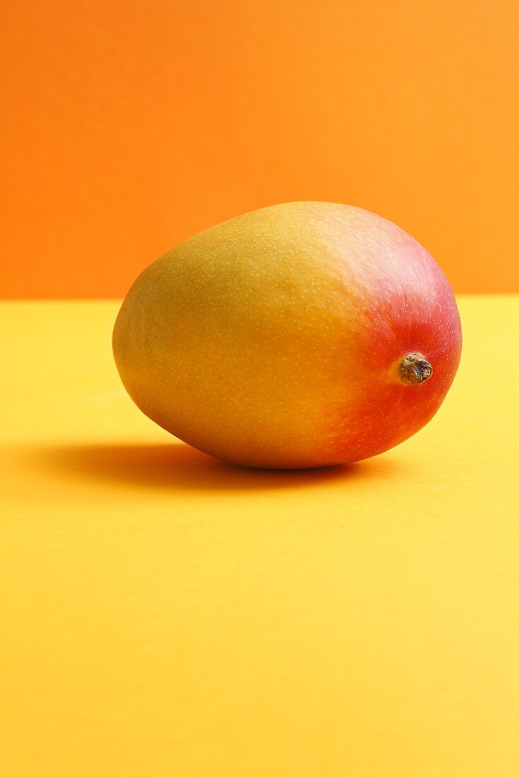 Mango auf farbigem Hintergrund
