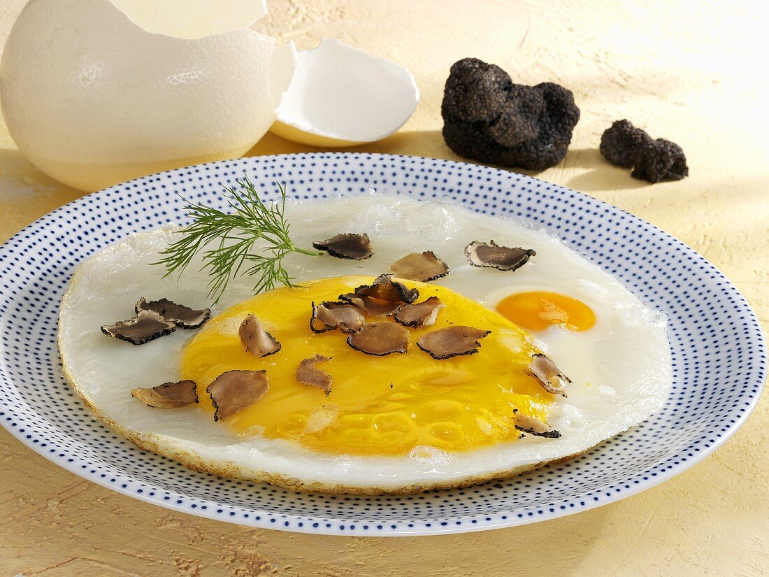 Fried ostrich egg with truffle