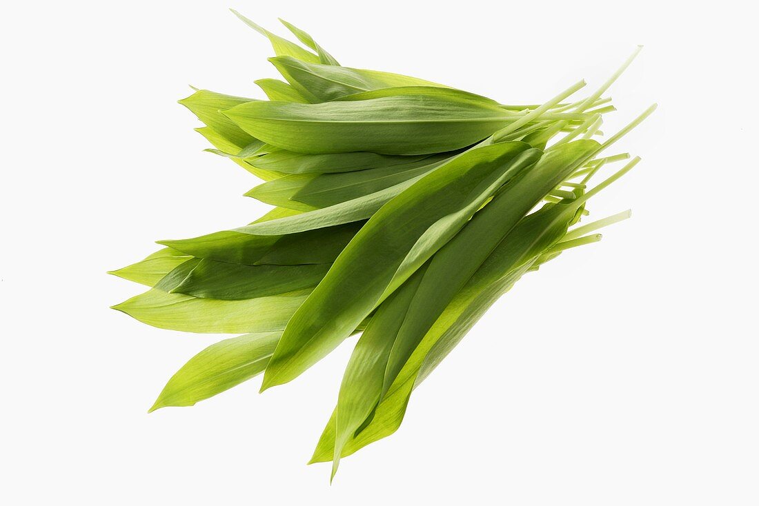 Ramsons (wild garlic) leaves