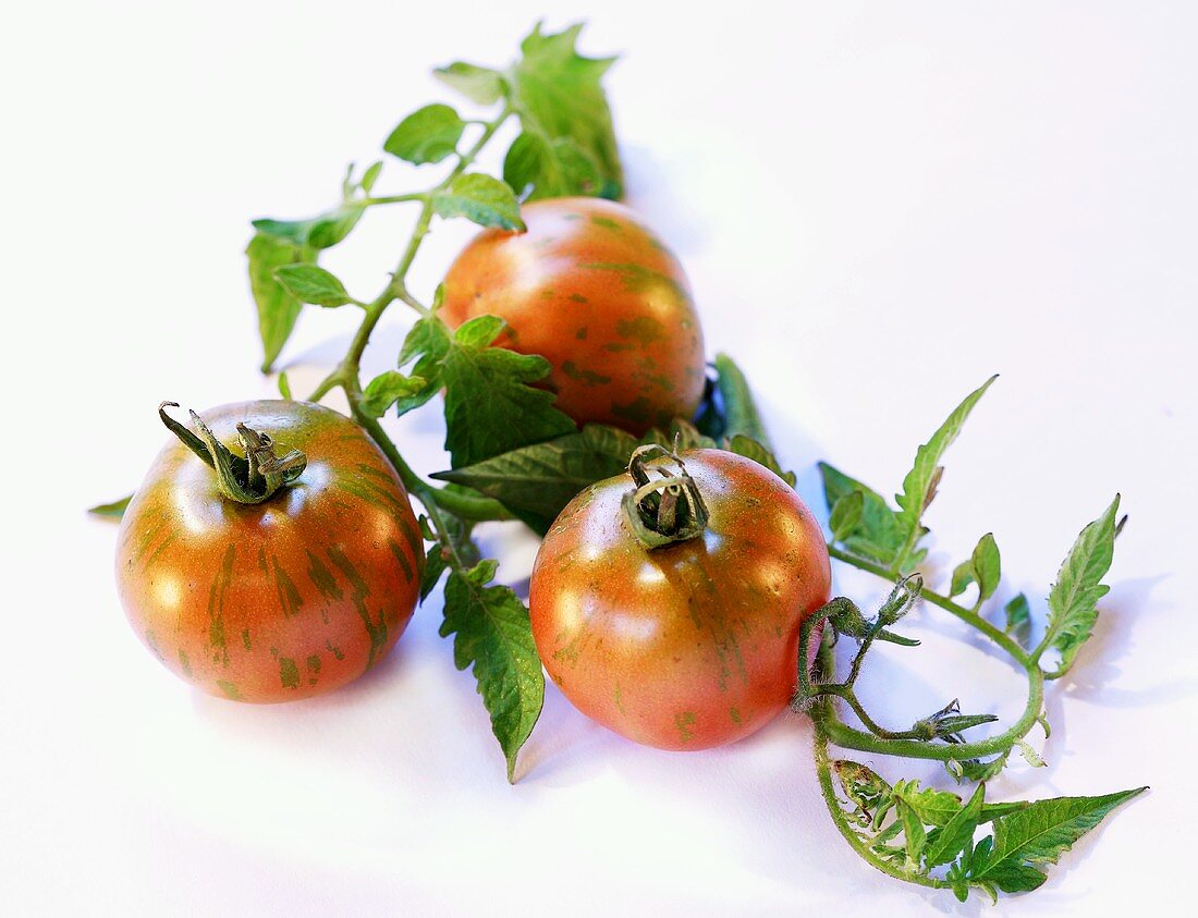 Drei Tigertomaten mit Blättern