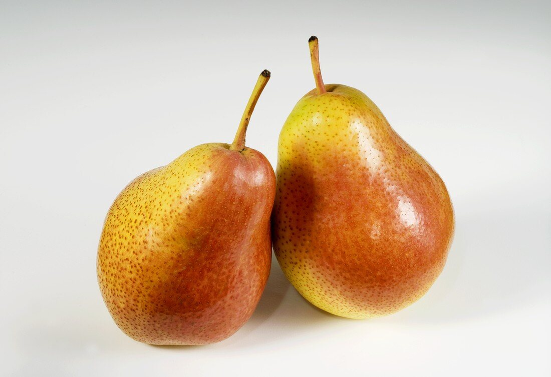 Two Forelle pears