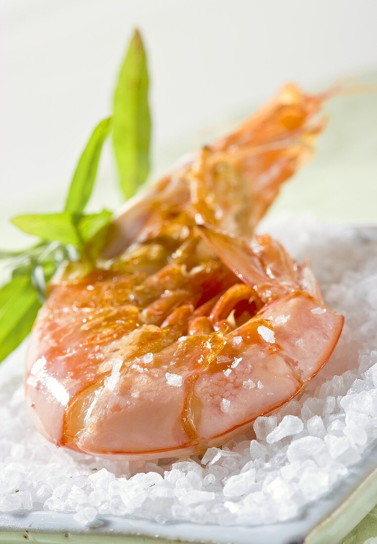 Prawn on salt