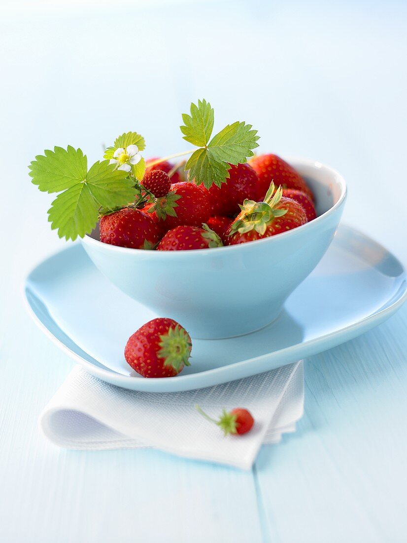 Strawberries with leaves in a blue bowl
