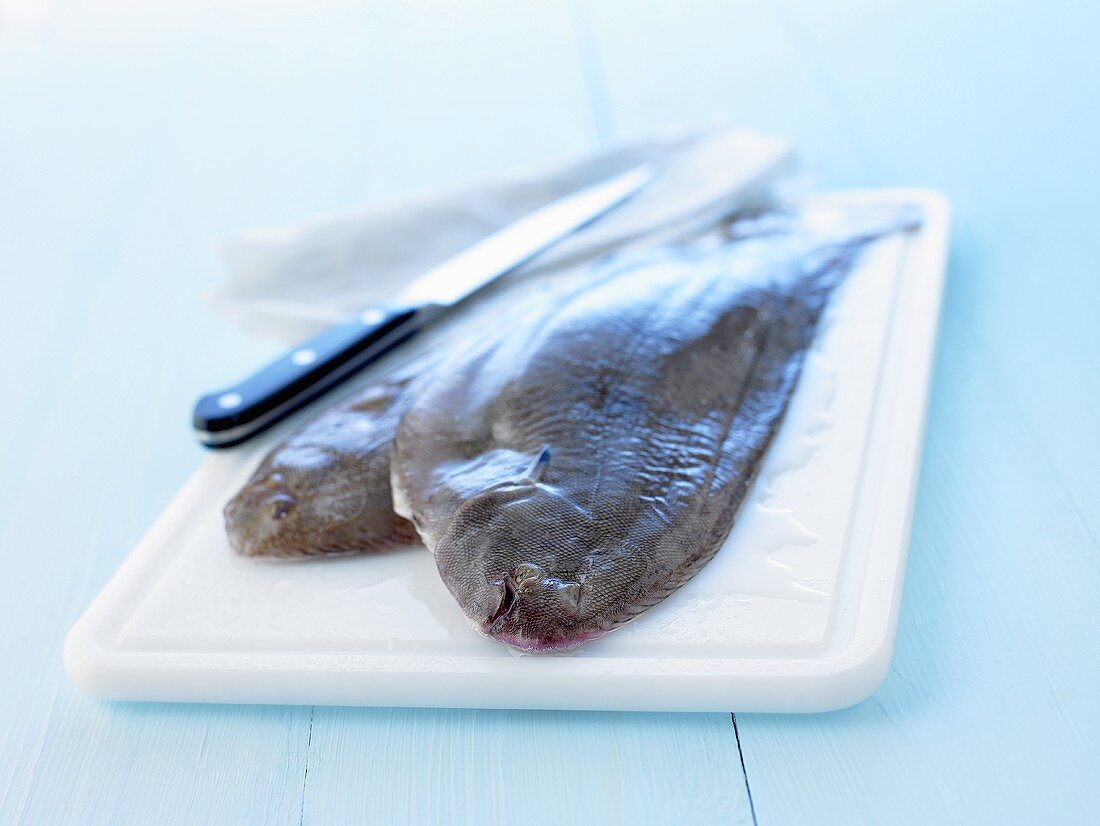 Two fresh sole on chopping board with knife