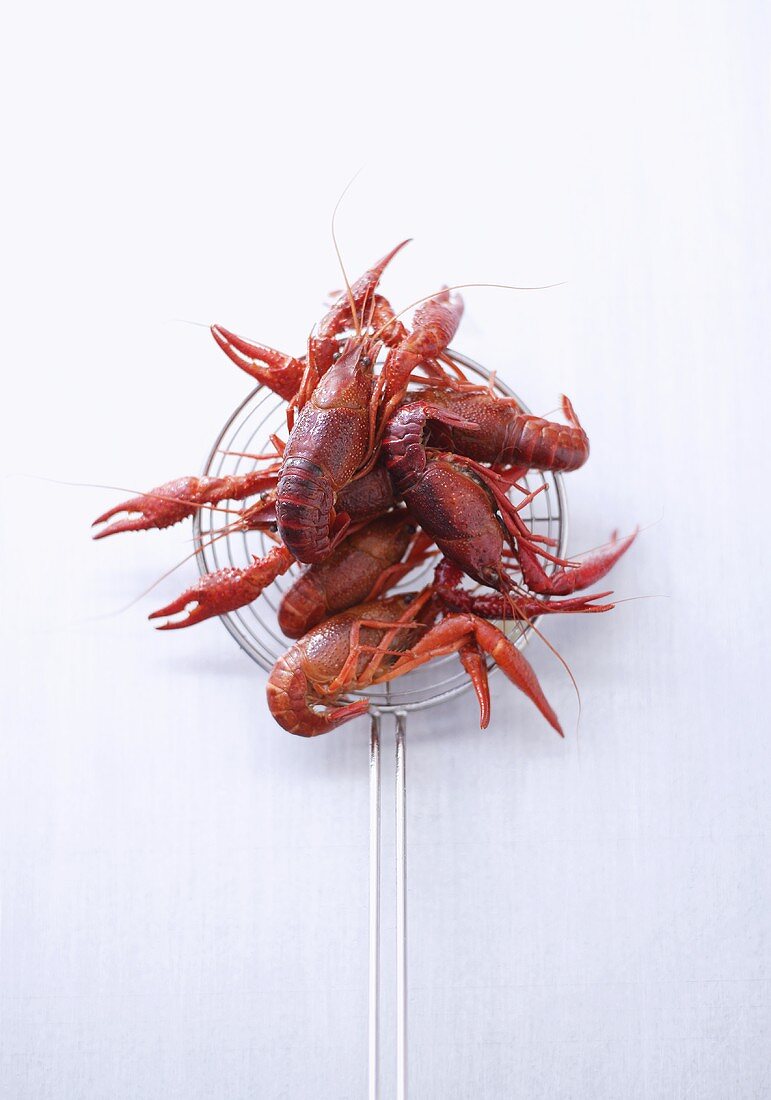 Cooked crayfish on wire ladle
