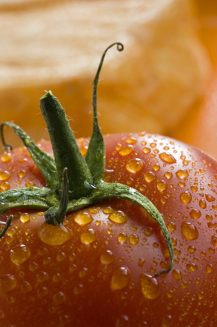 Tomato with drops of water (close-up)