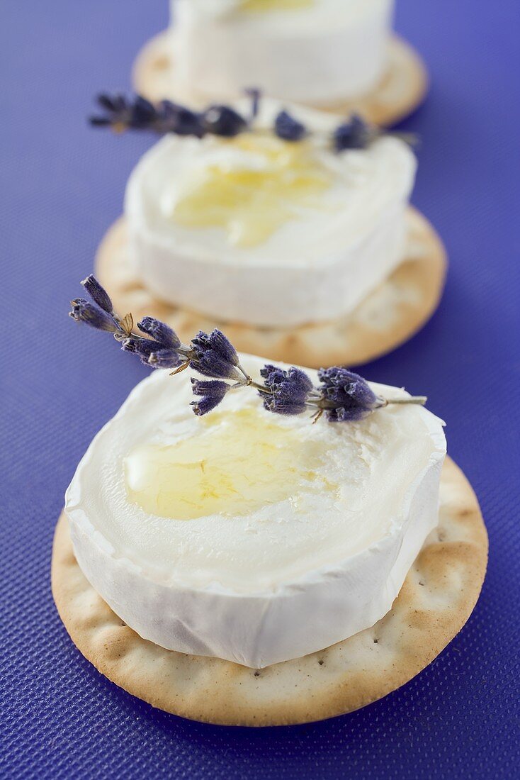 Crackers with goat's cheese, olive oil & lavender flowers