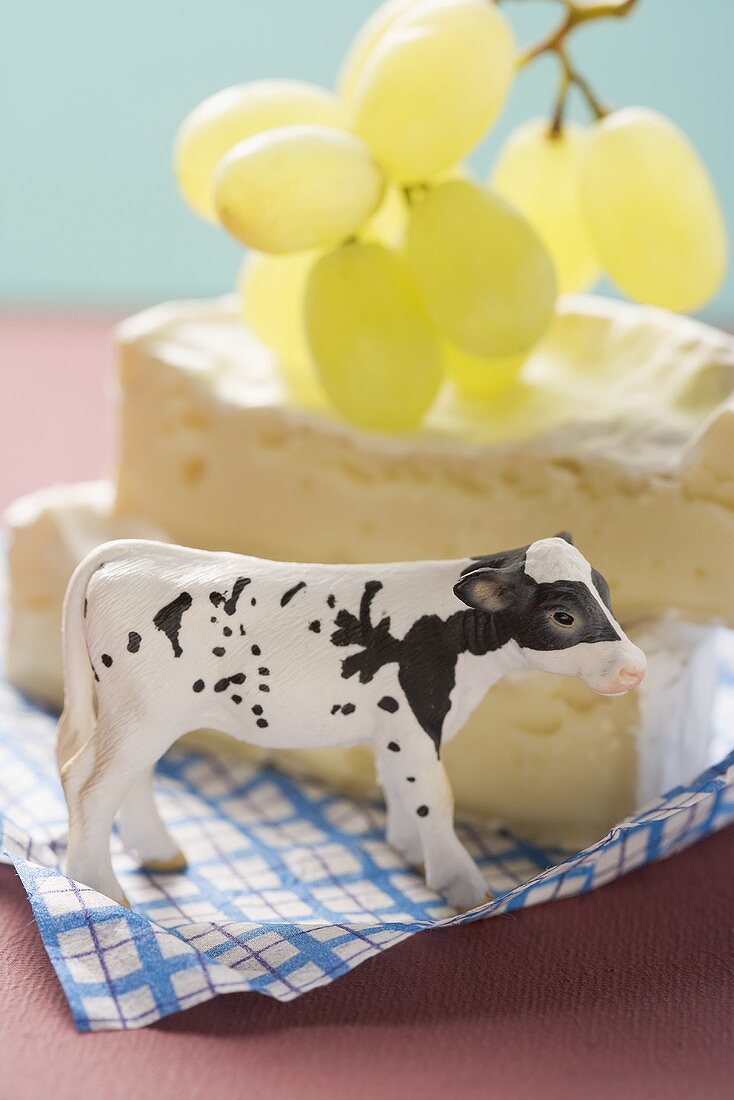 Brie with green grapes, toy calf in foreground