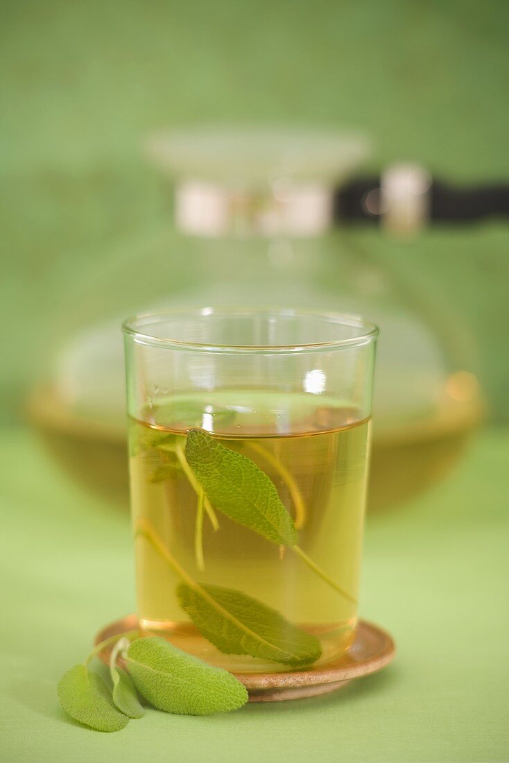 A glass of sage tea in front of glass pot