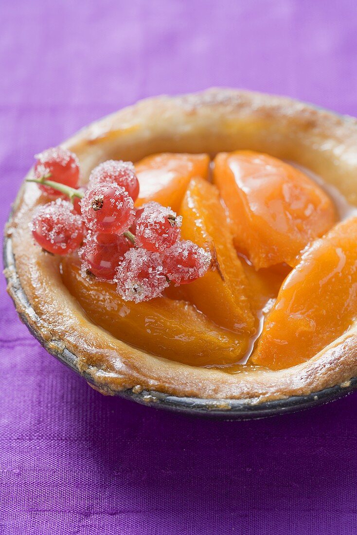 Apricot tart with sugared redcurrants