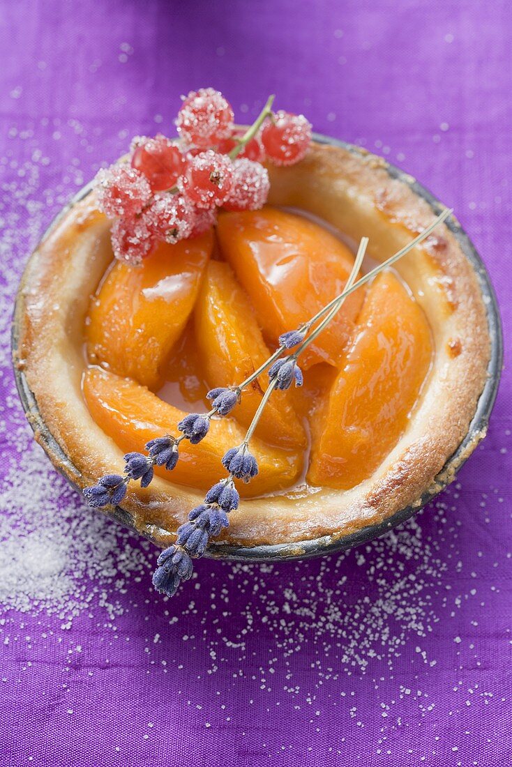 Apricot tart with redcurrants and lavender flowers