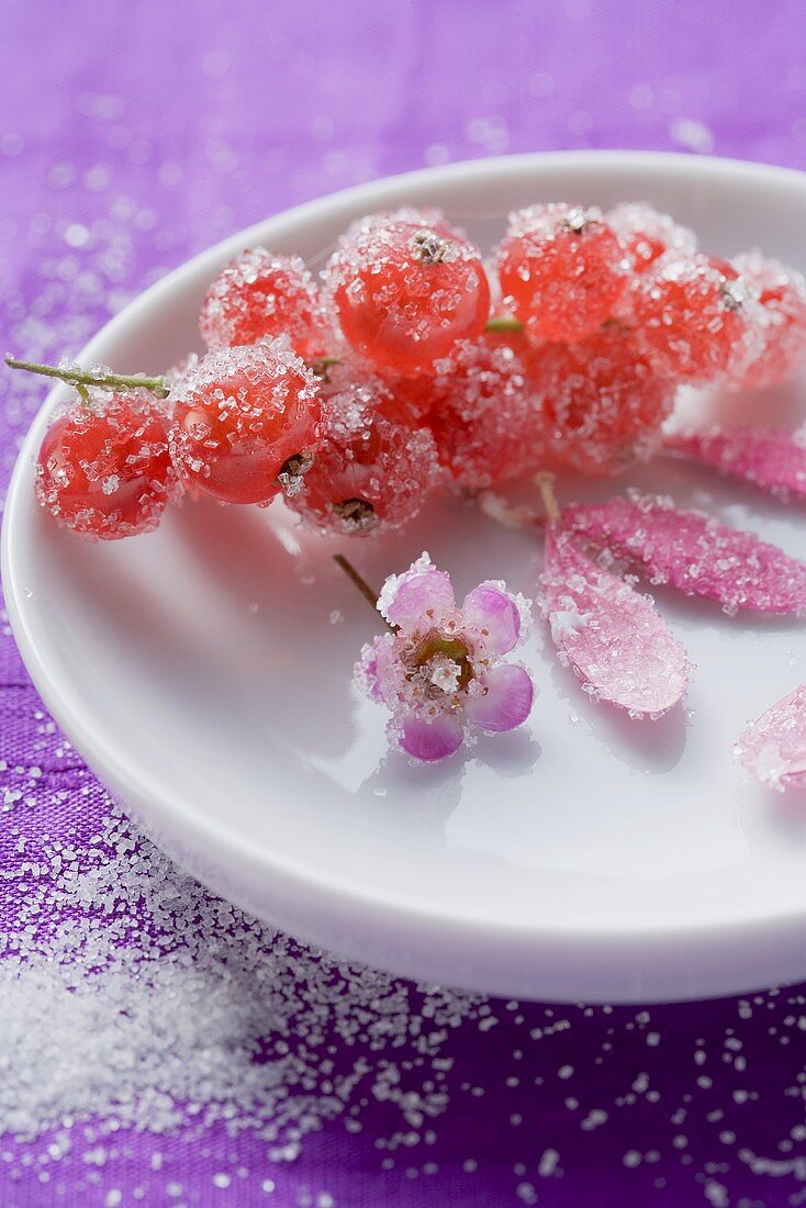 Gezuckerte Essblüten und rote Johannisbeeren