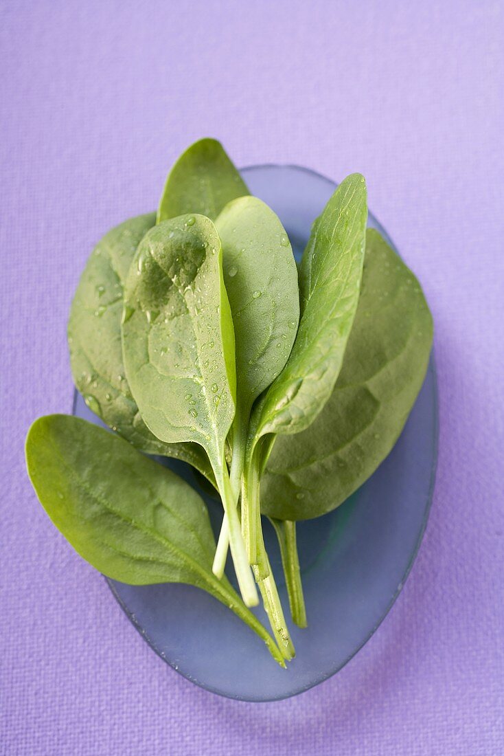 Fresh spinach leaves on blue plate