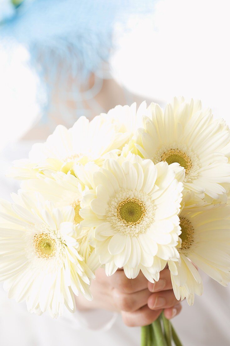 Frau mit Hut hält weiße Gerbera