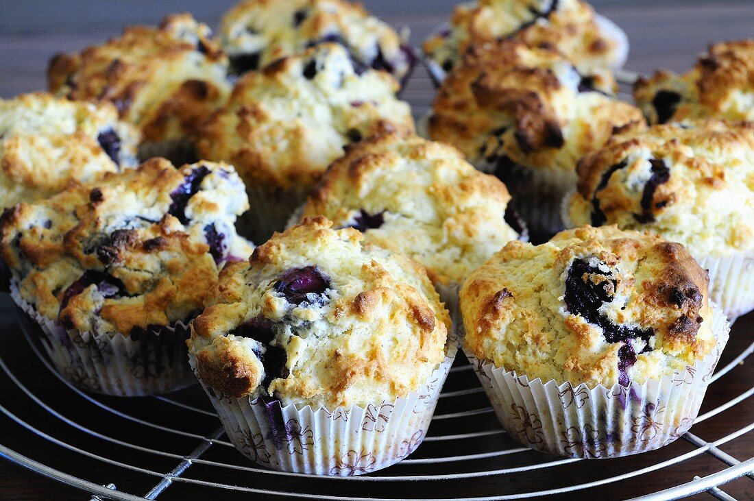 Freshly baked blueberry muffins on cake rack