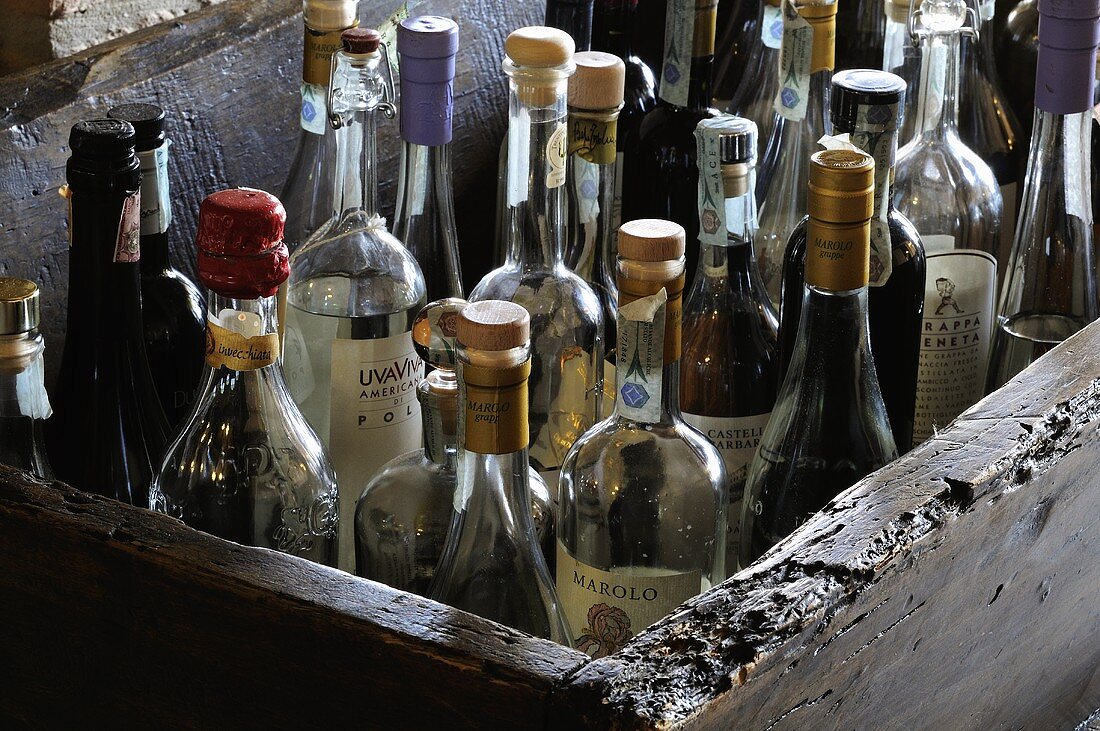 Assorted bottles of Italian spirits in a crate