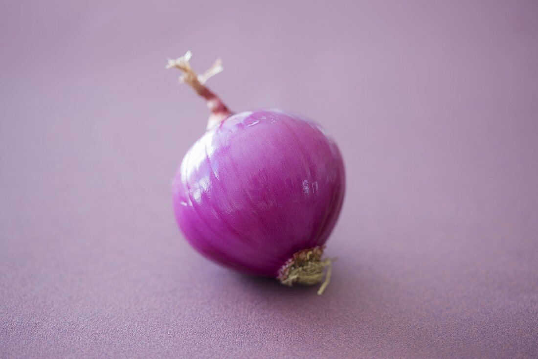 An onion