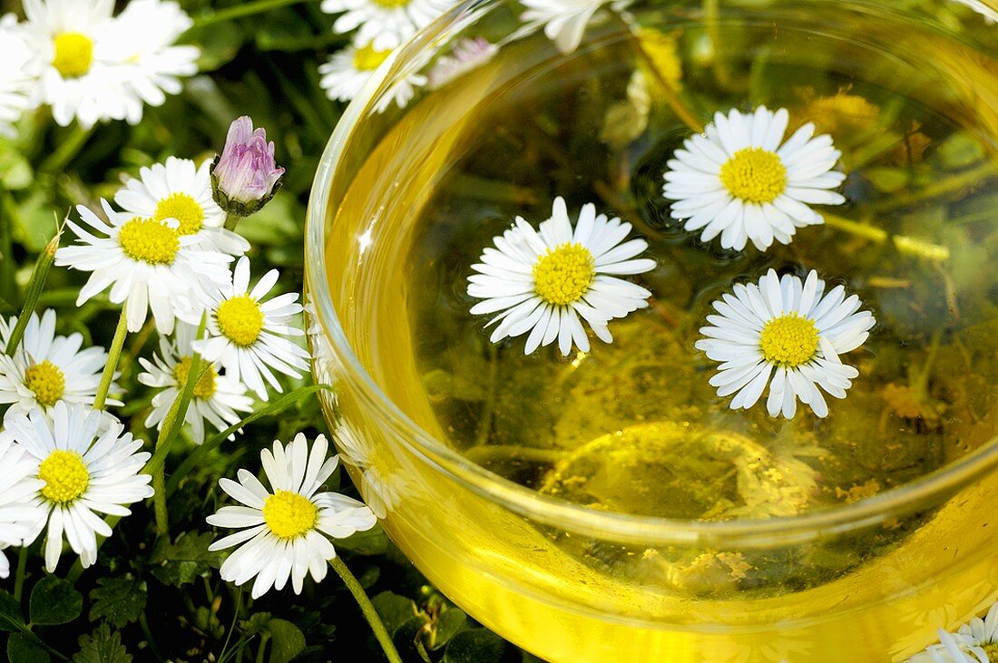 Cup of tea with daisies