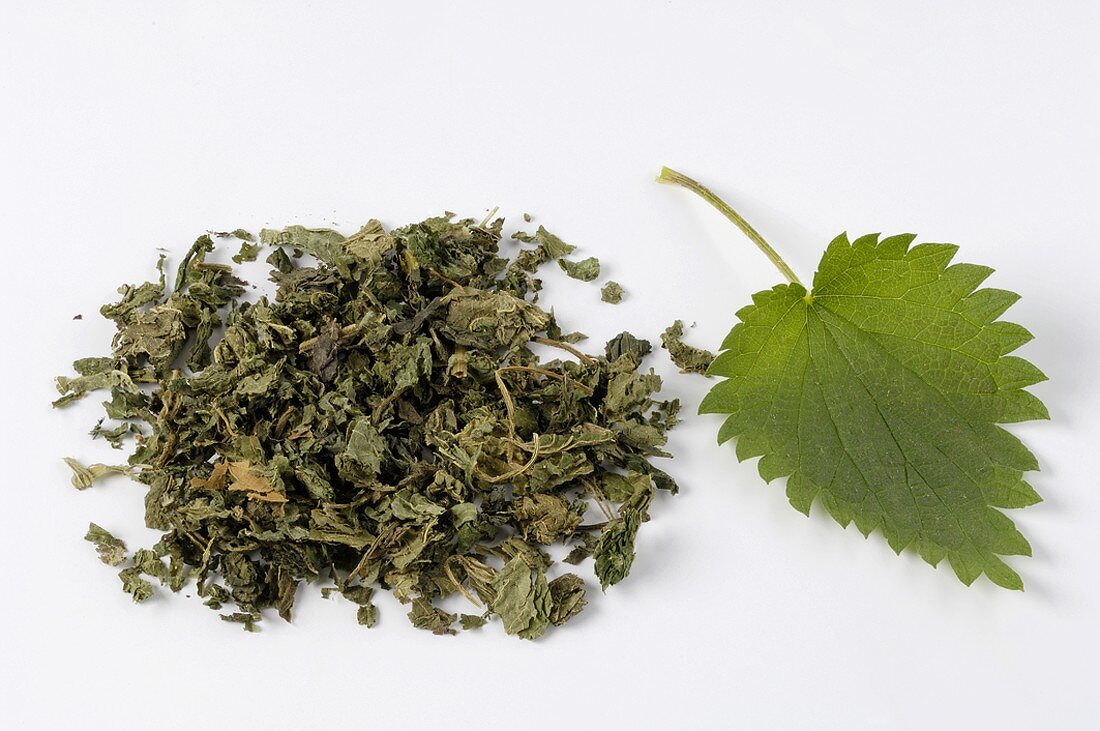 Nettle leaves, fresh and dried