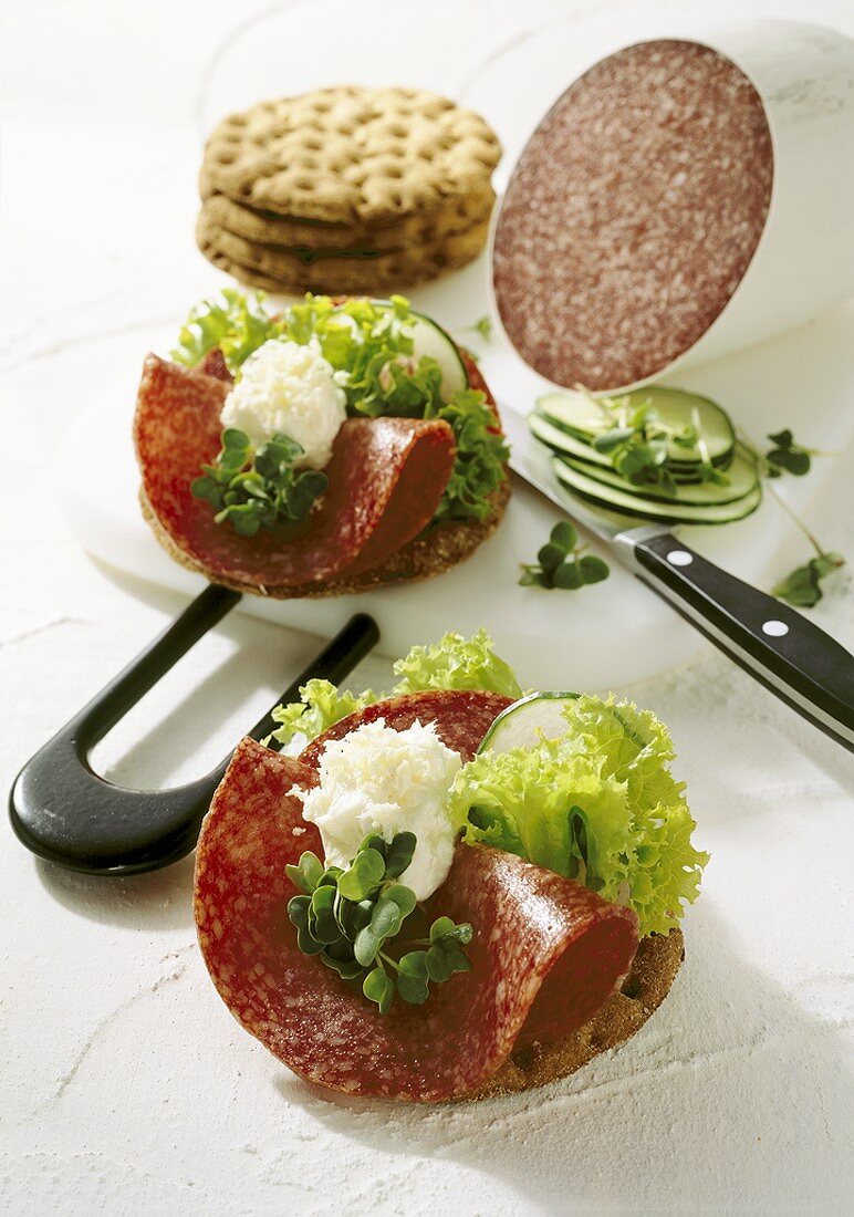 Crackers topped with salami and horseradish