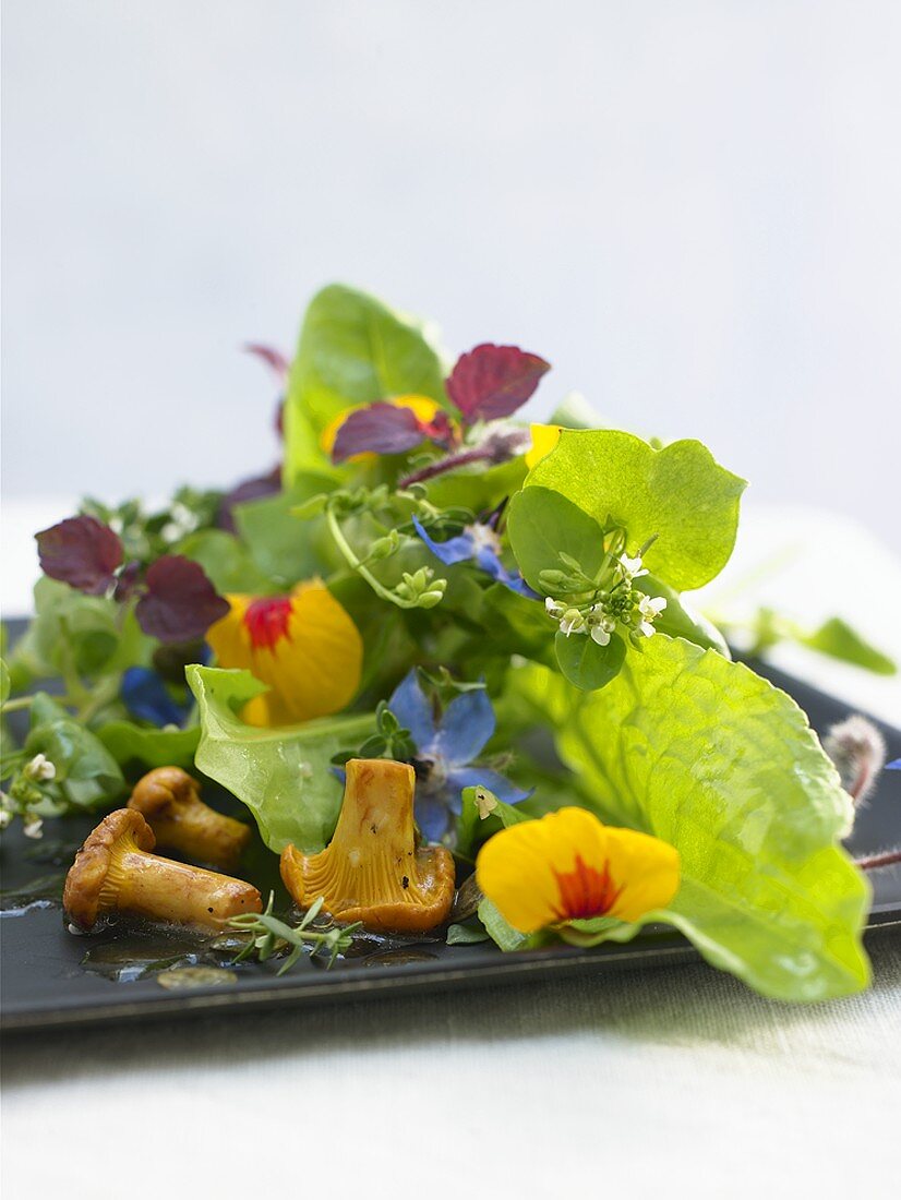 Salad leaves with edible flowers and chanterelles