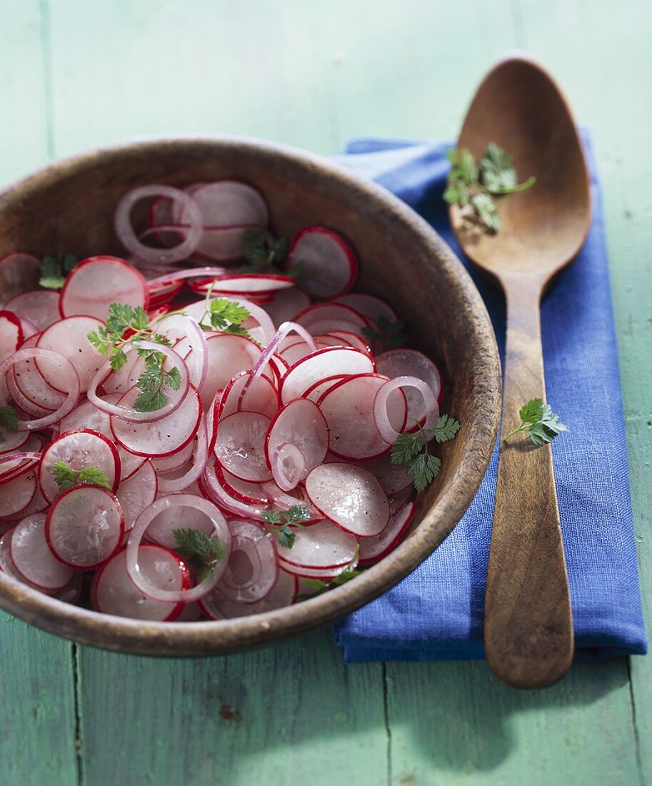 Radish and onion salad