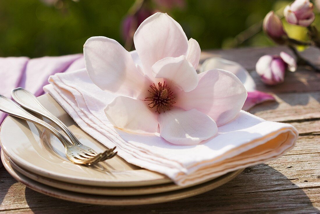 Magnolia on pile of plates with fabric napkin
