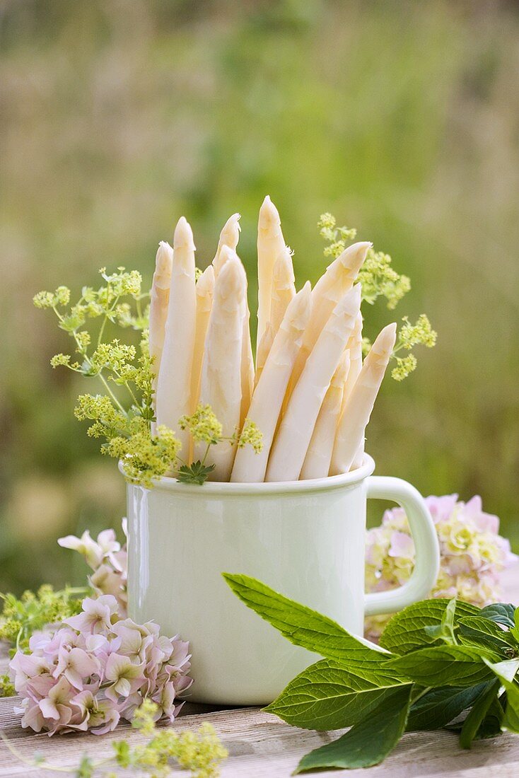 Weisser Spargel im Topf mit Frauenmantel und Hortensien