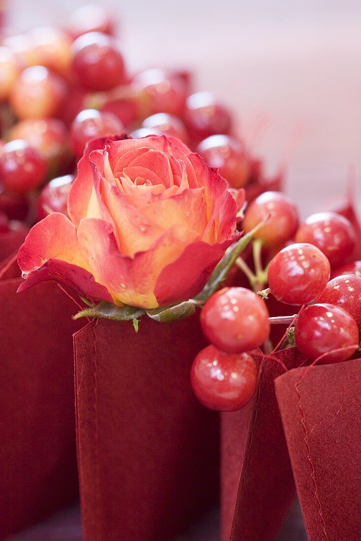 Rose and guelder rose berries in envelopes