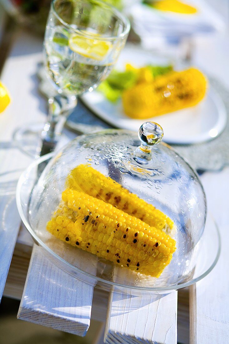 Grilled corn cobs under glass dome on garden table