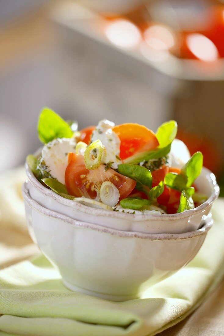 Goat's cheese and tomato salad with basil