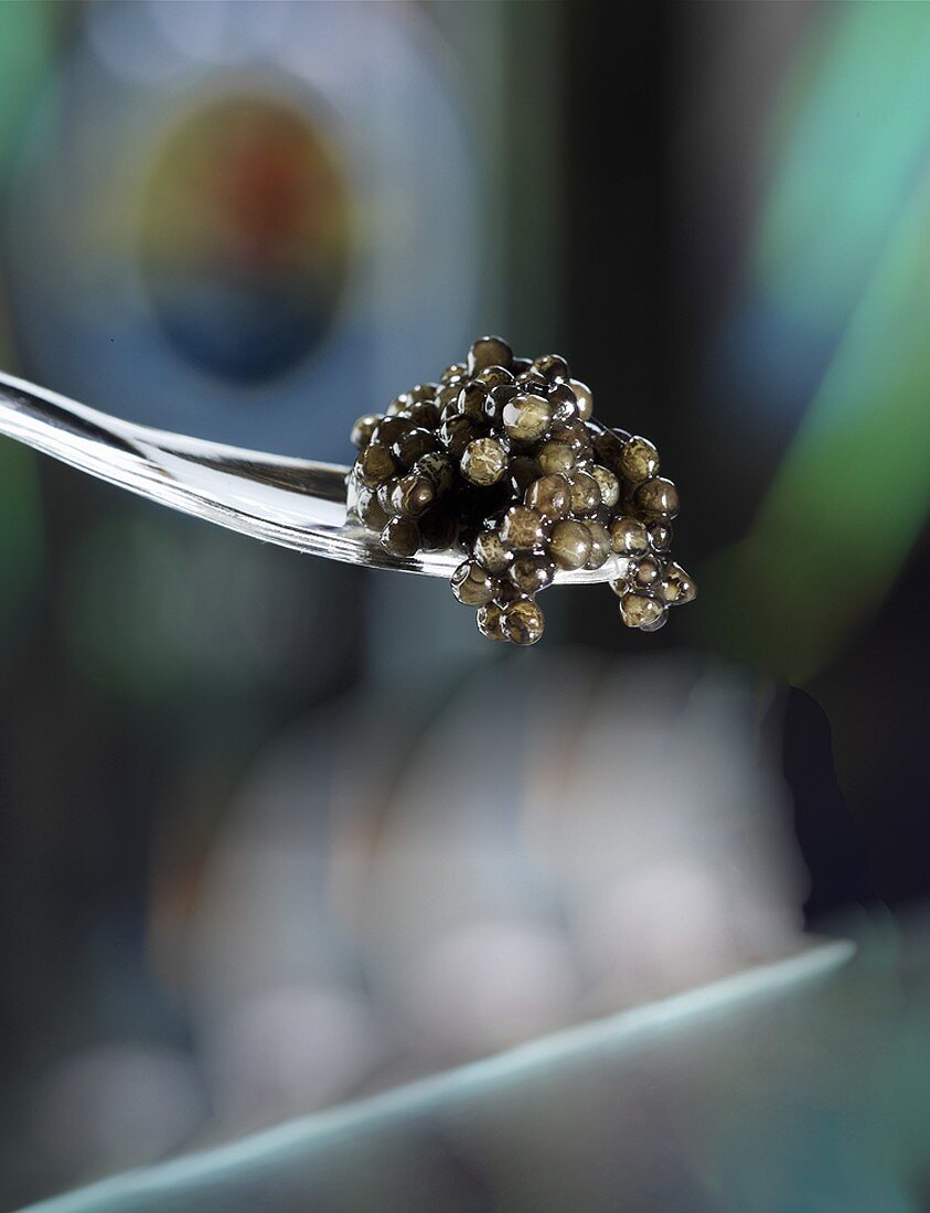 A spoonful of caviar