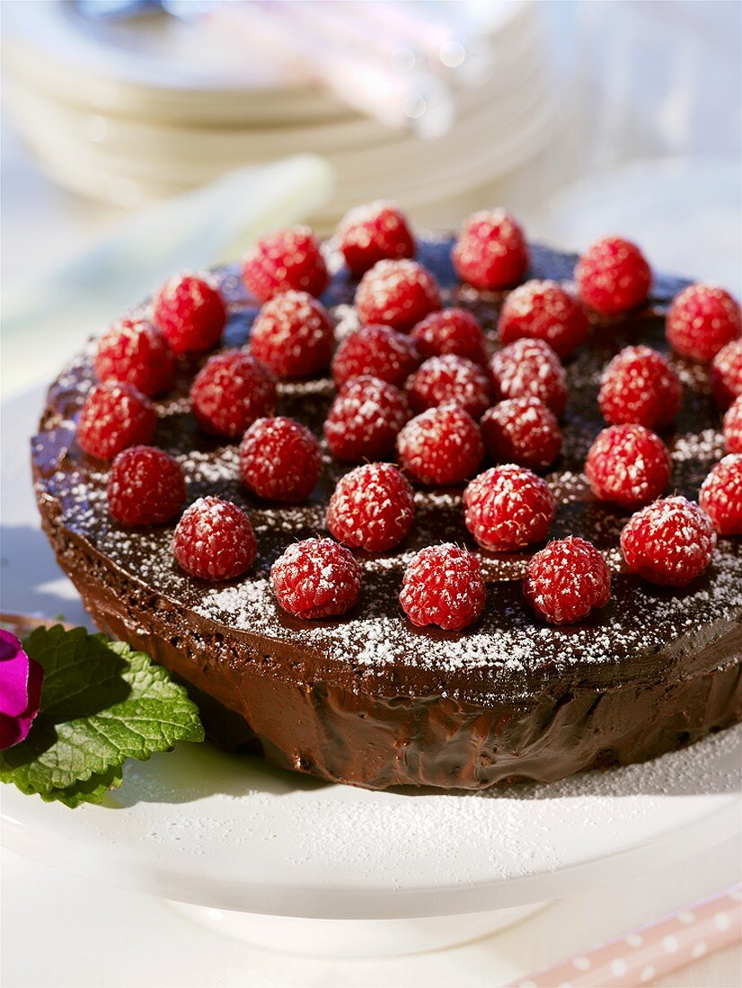 Chocolate raspberry cake