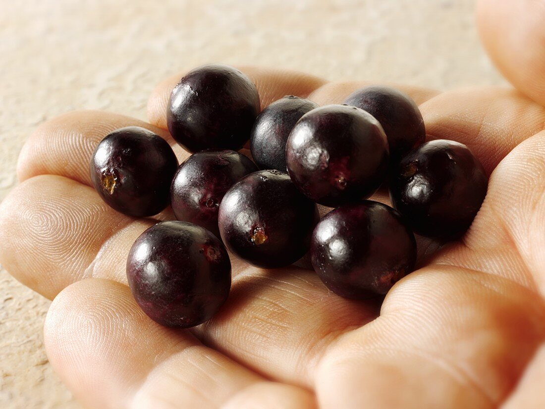 Acai-Beeren auf einer Hand