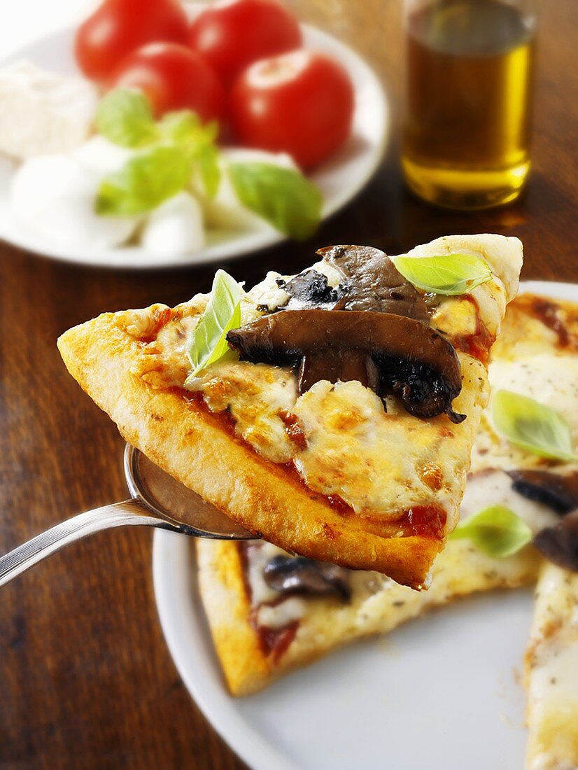 Slice of pizza with mushrooms on server