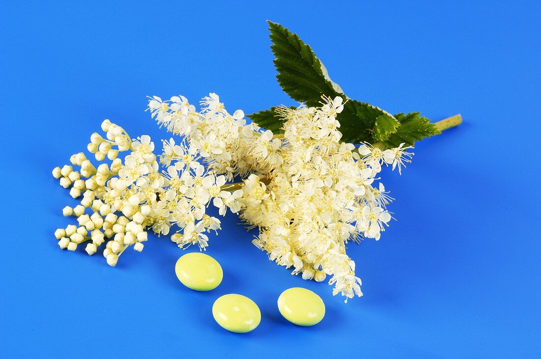 Meadowsweet and three tablets