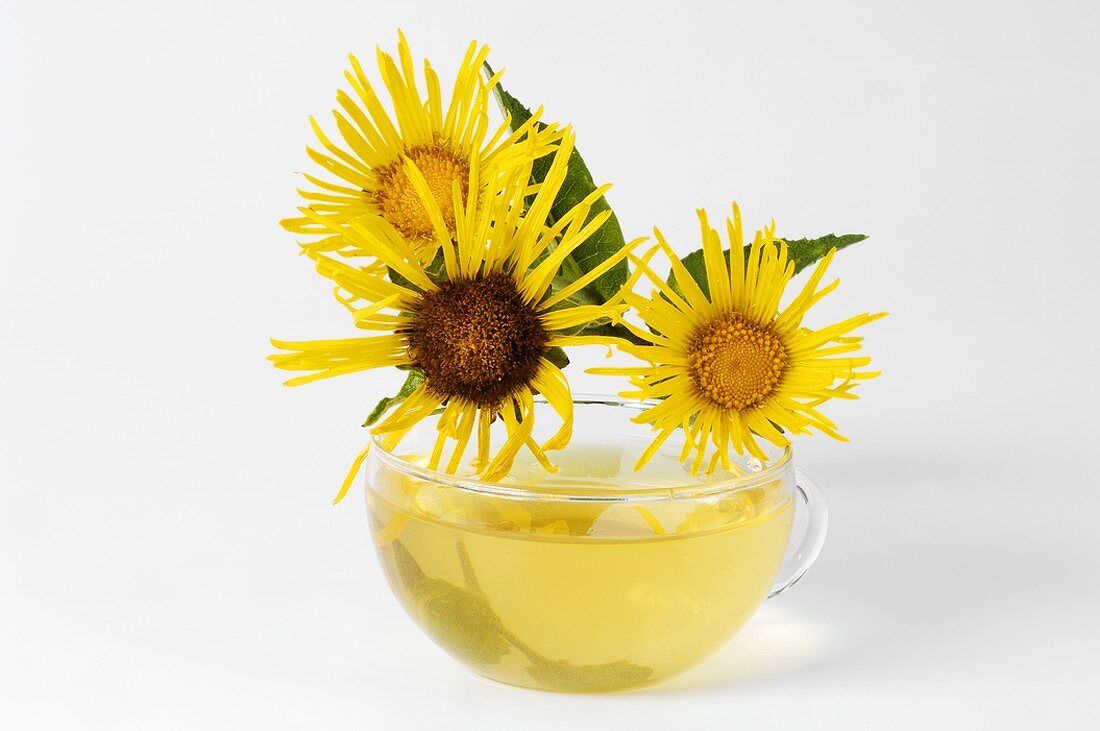 Cup of tea with elecampane flowers