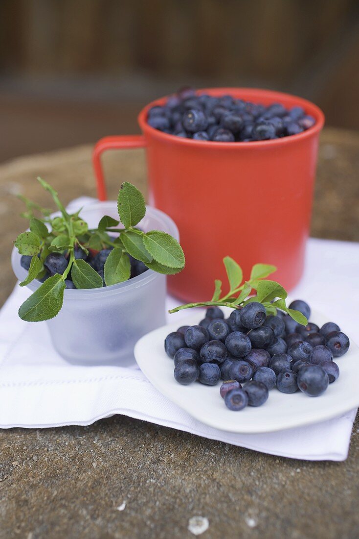 Blueberries in mug and plastic tub and on plate