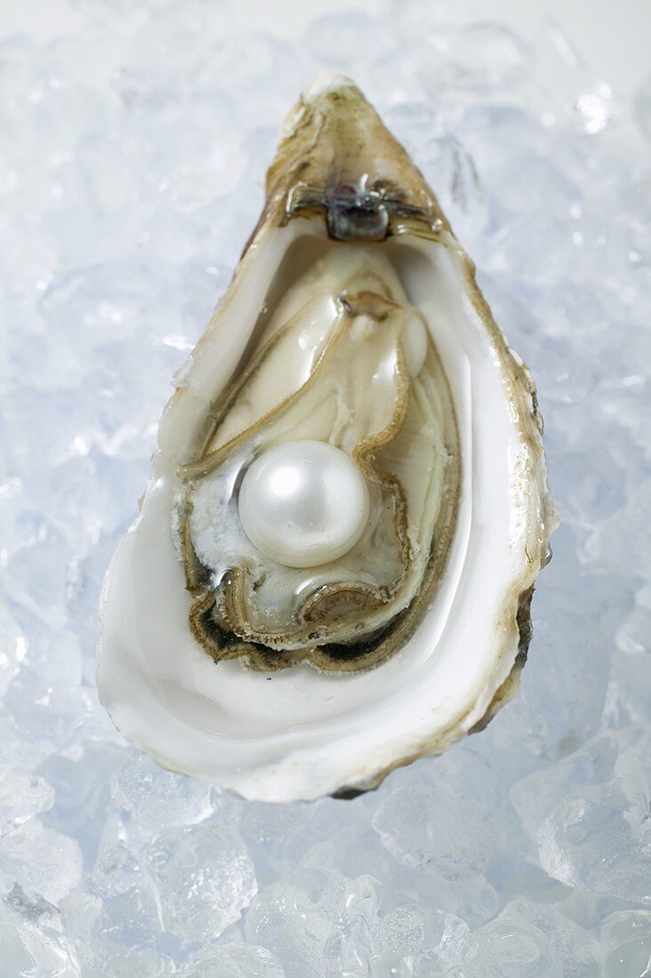 Fresh oyster with pearl on crushed ice